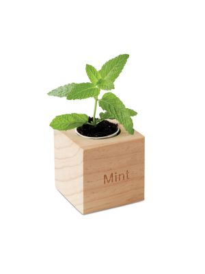 Jardinería menta maceta con semillas de menta de varios materiales para personalizar vista 2